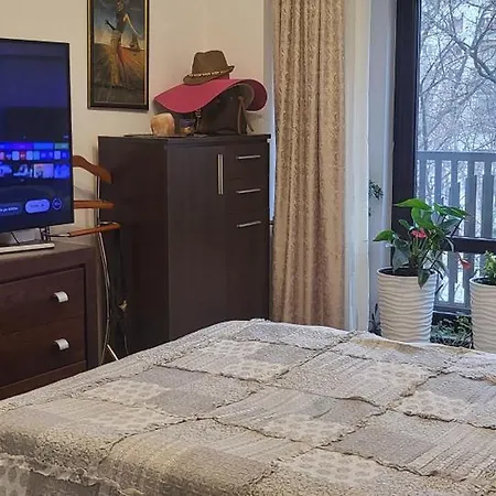 Appartamento Unirea Fantani