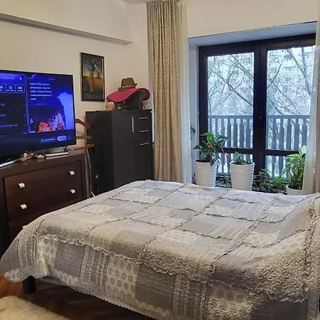 Apartment Unirea Fantani